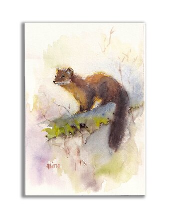 Akwarela "Kuna Leśna", Galeria Alma