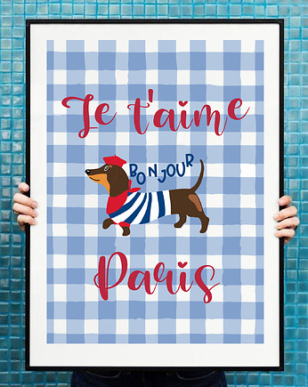 Plakat Jamnik w Paryżu, Project 8