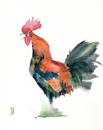 Oryginalna akwarela. Kogut, alquadro