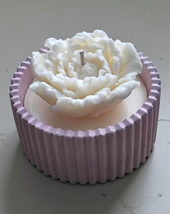 Świeca sojowa dekoracyjna zapachowa w naczyniu gipsowym, Oyka Candle