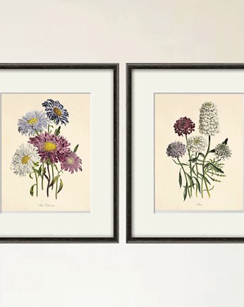 Grafiki wydruki kwiaty, Victorian wall art