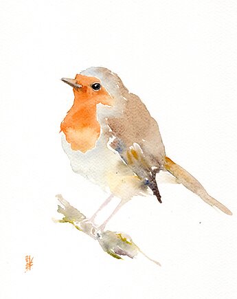 Oryginalna akwarela. Rudzik, alquadro