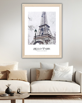 Plakat Hello Paris, Well Done Shop