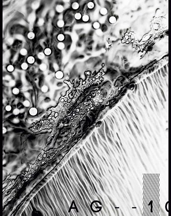 Plakat "Abstract ink", Fotobloki and decor