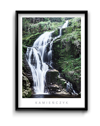 Plakat Kamieńczyk, Bury Lis