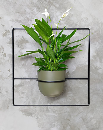 Kwietnik Pilea+ czarny, Domowe kwietniki