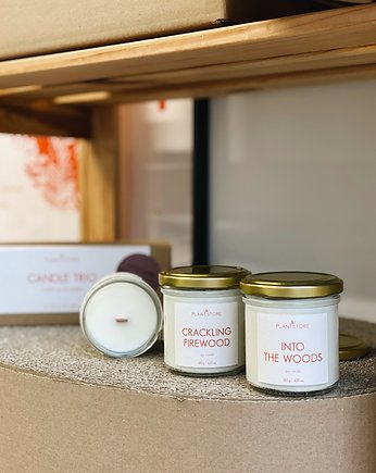 Zestaw świec sojowych CANDLE TRIO Woody 3 x 120 g, Plantstore