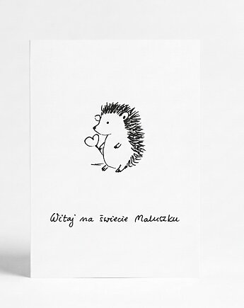 Kartka z okazji narodzin dziecka składana "Witaj na świecie Maluszku" Jeżyk, Mjukka