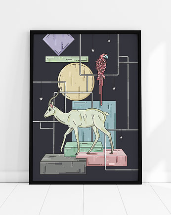 Fill in the Blank, Aga Lut