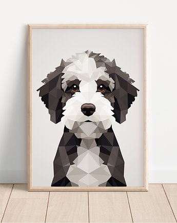 Plakat lagotto romagnolo, Whatever the timezone