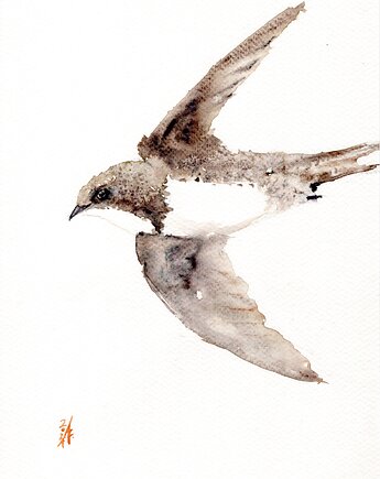 Oryginalna akwarela. Jerzyk, alquadro