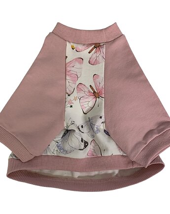 Bluza dla psa z raglanowym rękawem MOTYLKI, Psia szafa