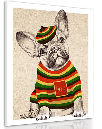 OBRAZ NA PŁÓTNIE-  Buldożek Reggae 60x80cm, LUdesign gallery