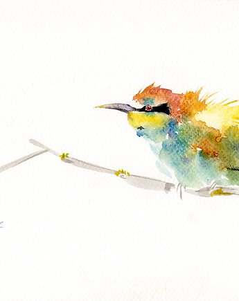 Oryginalna akwarela. Żołna, alquadro