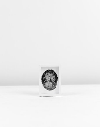 Micro Mizu "Pointo", fright.studio