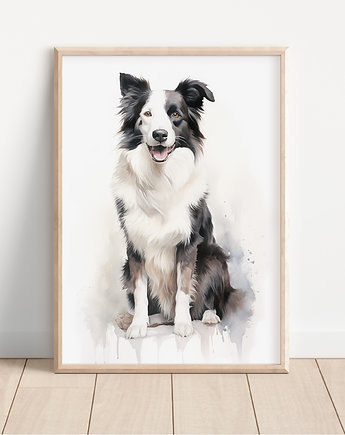 Plakat border collie, Whatever the timezone