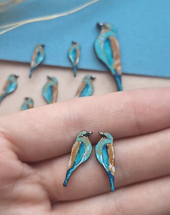 Kraska malowana, DWUKROOPEK