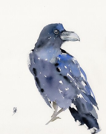 Oryginalna akwarela. Kruk, alquadro