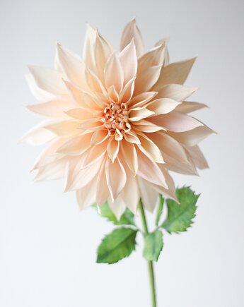 Bibula Blooms projektant