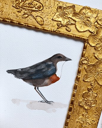 Akwarela pluszcz, Wiktoria Borys Art