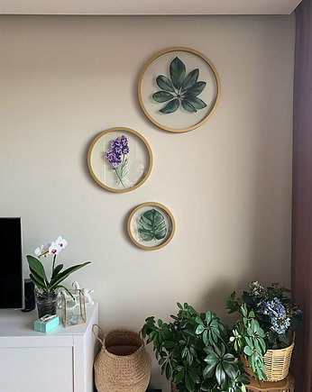 Szklany obraz - Monstera - Wall Me, Wall Me