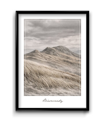 Plakat Bieszczady Sepia, Bury Lis