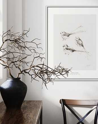 Raniuszki / ptaki / delikatna grafika /Fine Art Print, Margo Hupert