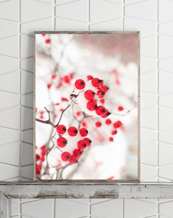 PLAKAT  zimowy śnieg natura, black dot studio