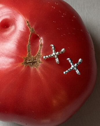 Srebrne Kolczyki XX, pills.jewelry
