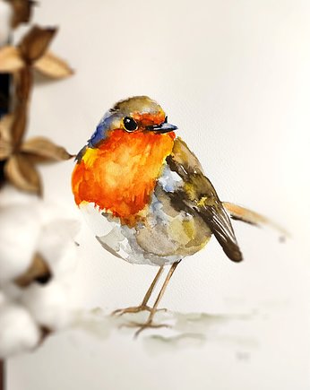 Akwarela rudzik, Wiktoria Borys Art