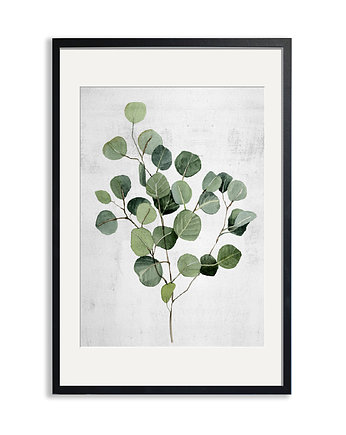 PLAKAT (poster) ROSLINKA EUKALIPTUS, LUdesign gallery