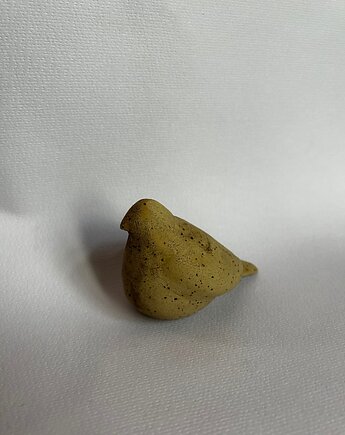 Ptaszek ozdobny, SOFIABLE