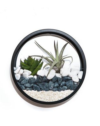 Circle planter "M"- dekoracja ścienna, Leaflo