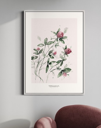 Koniczyna /print, Margo Hupert