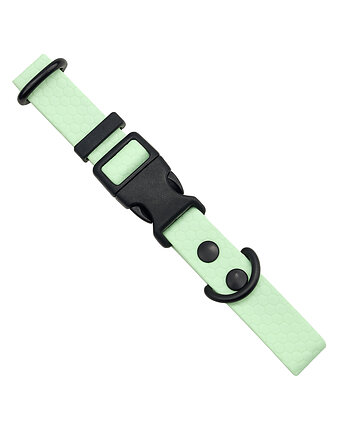 Obroża dla psa regulowana wodoodporna hexa PISTACJOWA 40-55cm taśma 2cm M, Kolorowe Łapki
