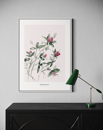 Koniczyna /print, Margo Hupert