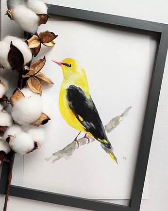 Akwarela wilga, Wiktoria Borys Art