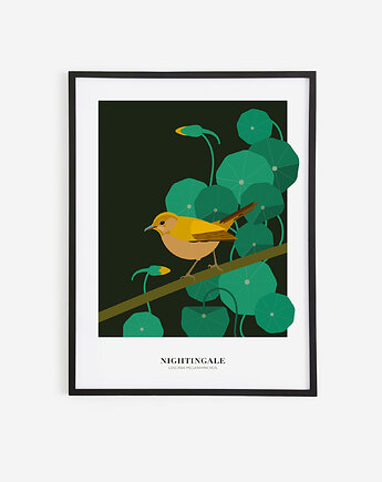 Plakat Słowik Nightingale 30 x 40 cm, JUSTYNA WIĘSEK ART
