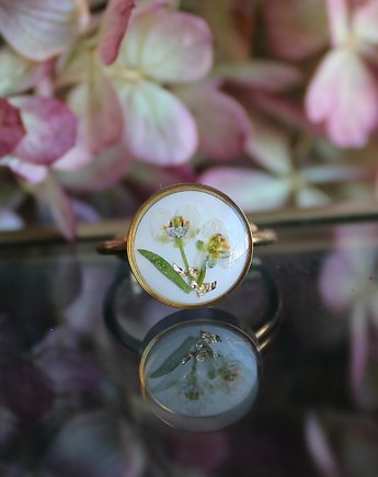 Złoty pierścionek biała smagliczka suszony kwiat, zkwiatem
