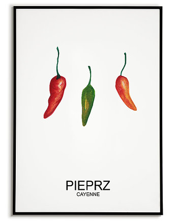 Plakat  GRAFIKA PIEPRZ CAYENNE warzywa ZIOŁA, Bajkowe Obrazki