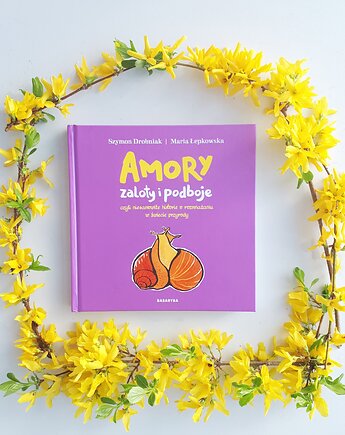 Amory, zaloty i podboje 6+, WYDAWNICTWO BABARYBA