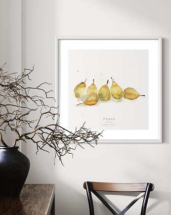 Gruszki,print 50x50 cm, Margo Hupert