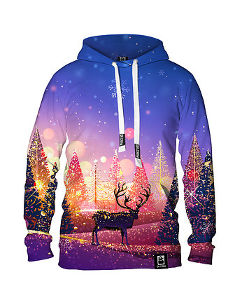 Męska Bluza z kapturem DR.CROW Sunny Christmas, DrCrow