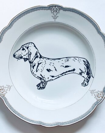 Jamniczek domowy, arent plates