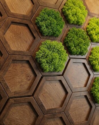 Panel Ścienny Drewniany z Chrobotkiem Mchem Mozaika Lamel Drewniany Dekor, smxdsgn