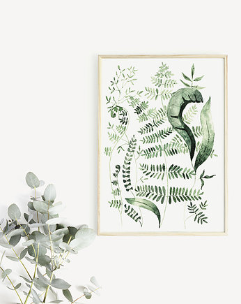 Plakat rośliny egzotyczne, paprotki, Merely Susan
