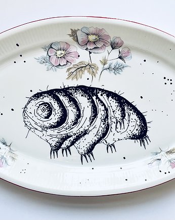 Niesporczak, arent plates