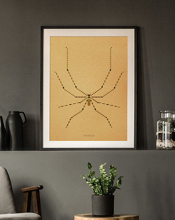 Plakat INSEKTARIUM pająk Nasosznik trzęś, Pracownia Malimu