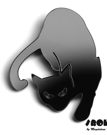 kot, Cat, Katze, 猫, gato, Magdalena Kopec