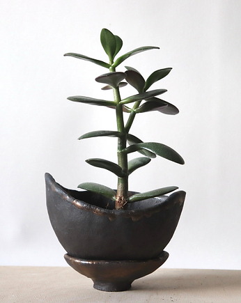 Doniczka ceramiczna, Otuliny Ceramika dla roślin